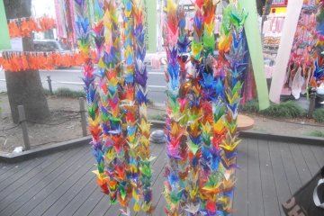 Paper cranes which represent health, family and longevity