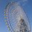 Vòng quay Osaka Ferris Wheels
