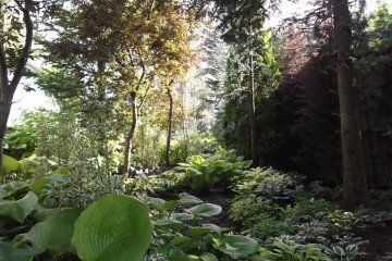 <p>The aptly named Color Leaf Garden</p>