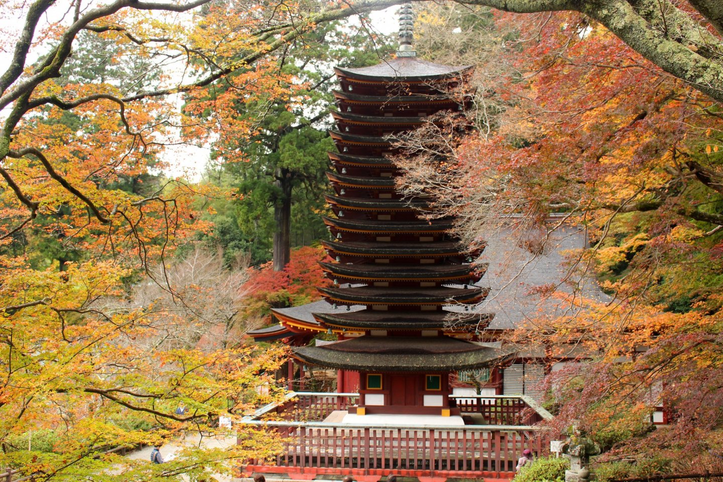 The unique 13-story pagoda from the Main Hall's stairs