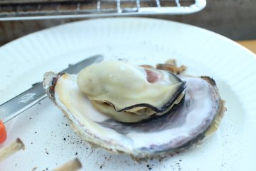 <p>A fat steaming oyster</p>
