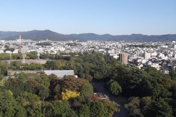<p>A view across the neighbouring park and art museum</p>
