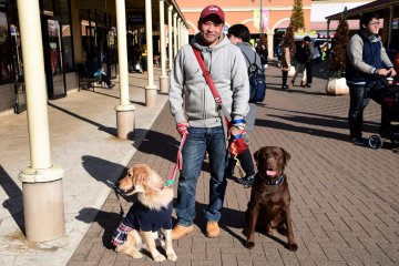 <p>A guy was walking a pair of formidable-looking dogs</p>
