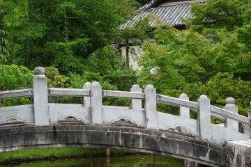 the bridge over the pond
