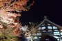 Iluminasi Musim Gugur Kodai-ji di Kyoto