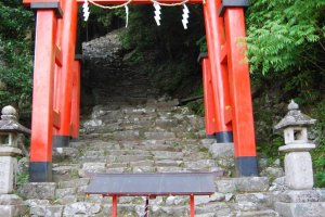 Gerbang torii