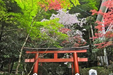 <p>ประตูด้านหลังของศาลเจ้าคิบุเนะ ที่ที่ธรรมชาติอันสวยงามมาปะทะกัน</p>