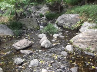 This stream runs down to the pond
