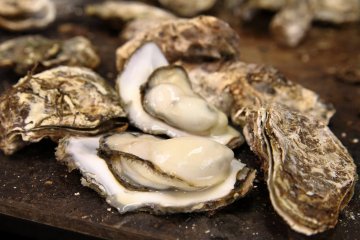 <p>Delicious oysters await</p>
