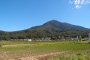 Hiking up Mt. Tsukuba