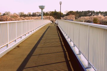 A glimpse of the Tamagawa lighthouse from the other side of the bridge (away from Hamura Station)