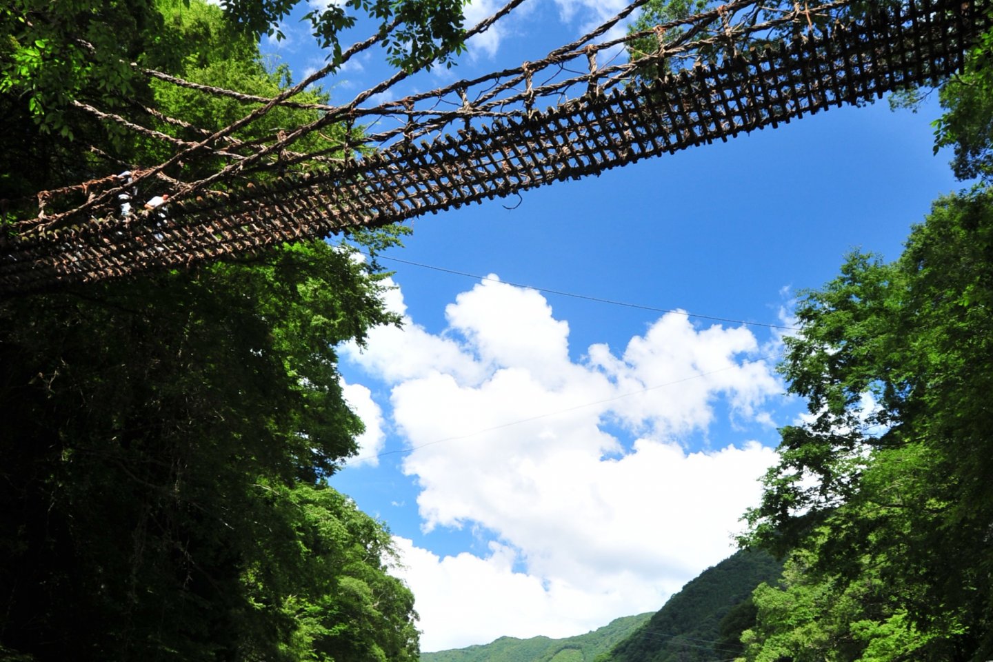 Cầu dây văng Kazurabashi ở thung lũng Iya