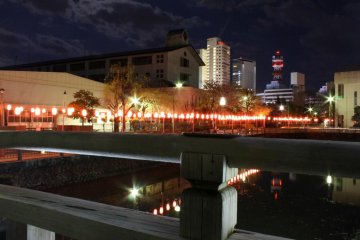 The beautiful night view of the pond outside Sunpu Park