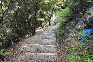Những bậc thang dẫn lên Taishiden