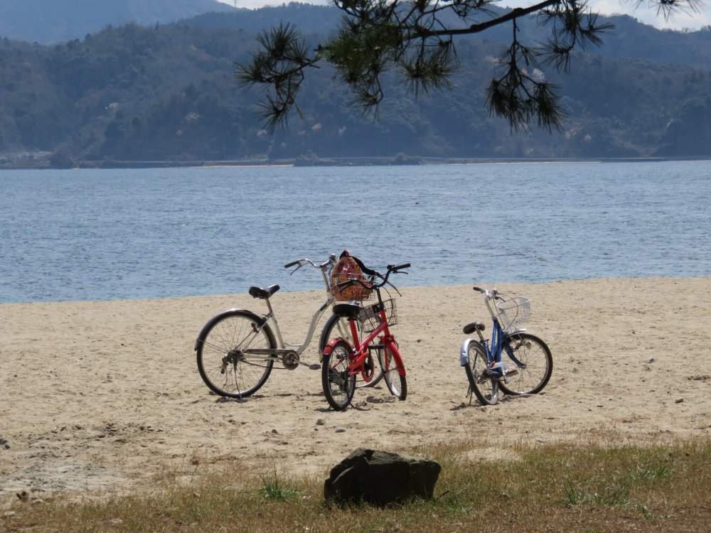 Thuê một chiếc xe đạp và đạp xe tới một trong những bãi biển để dã ngoại. 