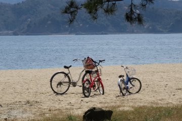 เช่าจักรยานแล้วปั่นไปปิกนิคที่ชายหาด