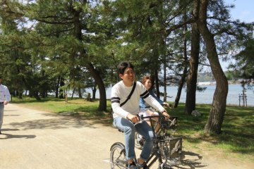 Amanohashidate is not known for cherry trees, but for its iconic sand spit walkway lined with pine trees, some of which are over a century old and have inspired poets and writers alike. 