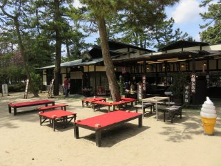 Hashidate Chaya là một quán trà địa phương; bạn có thể thưởng thức đồ uống hay mua một ít đồ ăn cho chuyến dã ngoại bên bờ biển hay dưới tán hoa anh đào