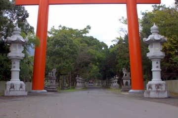 One of my favorite parts about visiting the shrine was the long drive through the stone lanterns and trees