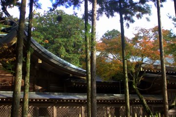 The shrine is truly complemented by the surrounding trees