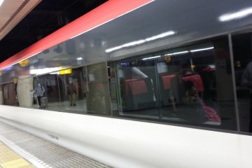 Narita Express Cabin