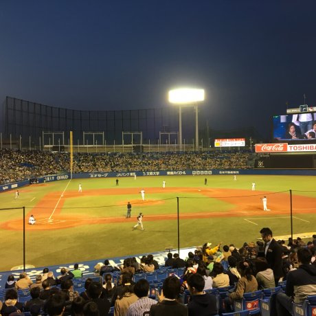 Du Baseball au Meiji Jingu Stadium