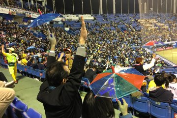 Swallows fans celebrating with their little umbrellas.