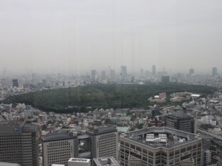 Toàn cảnh trên không của Đền Minh Trị và công viên Yoyogi trên đài quan sát ở Tokyo Metropolitan Government Building. 