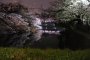Tokyo's Sakura Illuminations