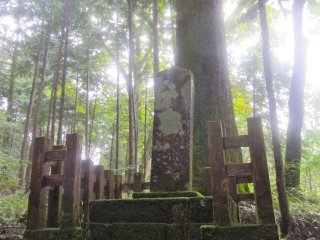 An ancient sign carved in stone asking visitors not to relieve themselves in the sacred forest.