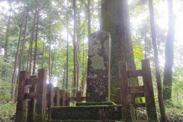 An ancient sign carved in stone asking visitors not to relieve themselves in the sacred forest.