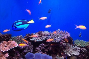 Asamushi Aquarium 