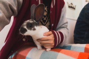 The bunny I chose to hold