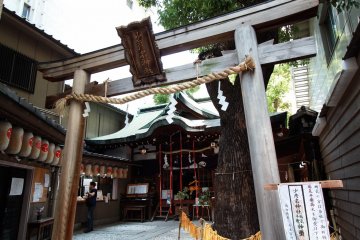 Brown torii gate