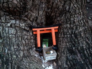 Mini torii gate found under a tree within the shrine