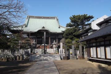 The pleasant temple compound