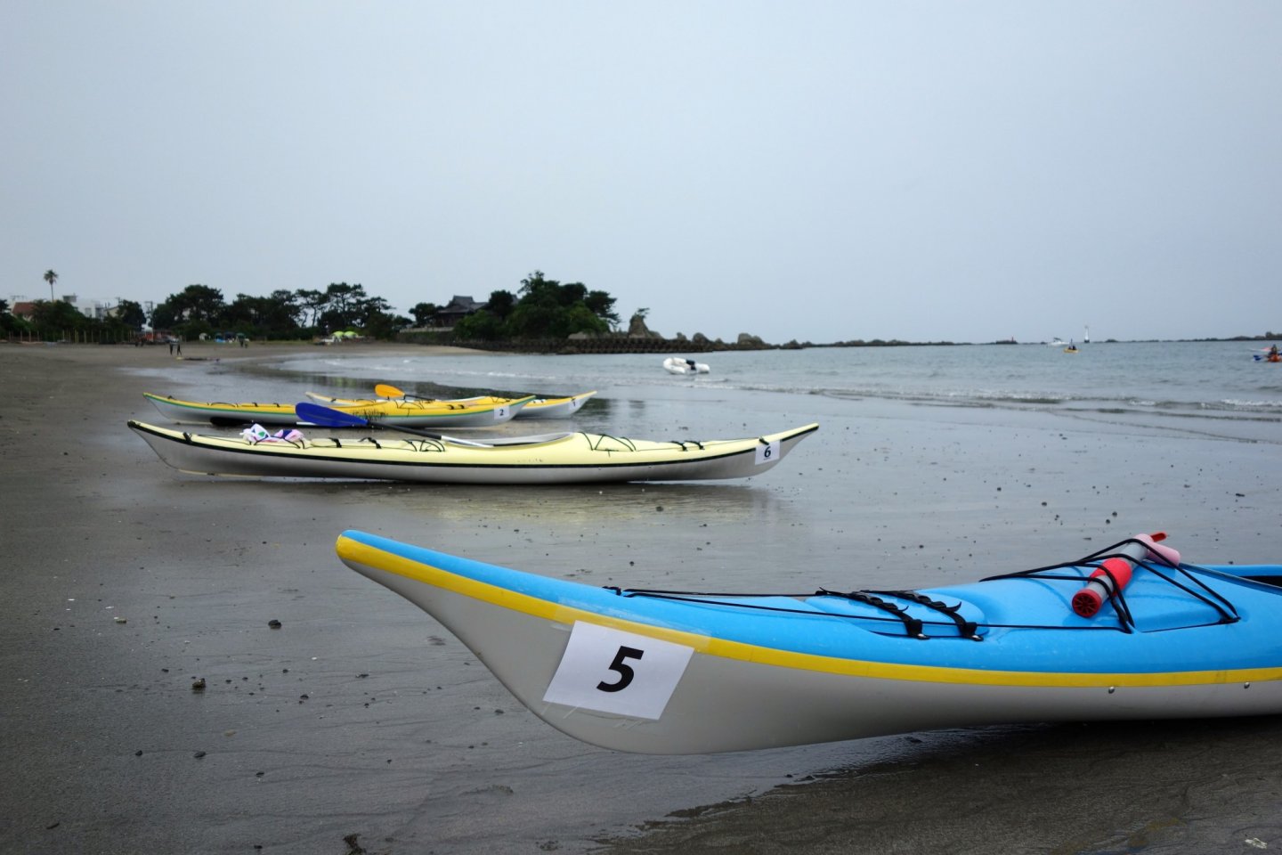 Kayak\'s line up on the beach, with team\'s race numbers stuck on the side