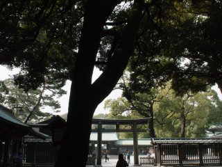 The temizuya (khu nước dùng cho nghi lễ thanh tẩy của đạo Shinto) nằm bên trái của cổng đền và bên phải chính diện với khu vực chính của đền 