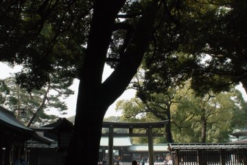 The temizuya (Shinto water purification pavilion) on the left with the Torii on the right heading towards the main shrine area