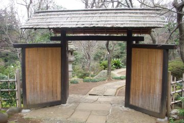 You leave behind Daikanyama's modernity once you enter these gates