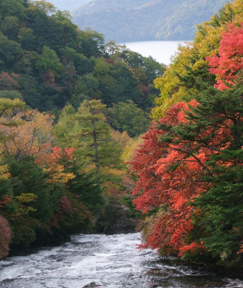 유노카와을 따라 내려와 류즈노타키 폭포를 거쳐 얼마 안 있어 주젠지 호수로 가을을 실어간다