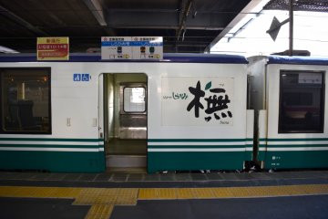 The Buna Resort Shirakami train