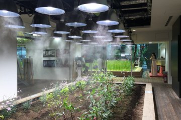 LED조명이 식물을 잘 자라게 한다