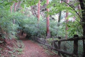 Beautiful scenery is found in the Asama woods