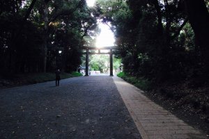 Dusk approaches during an evening run in Yoyogi Park