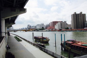 Sumida River banks is a great introductory run in Tokyo