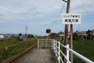 Towards Nemuro
