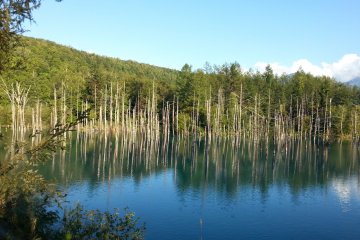 Biei's Blue Pond & Shirahige Falls