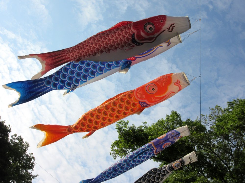 Berbagai dekorasi ikan (koi) untuk merayakan Boy's Day pada 5 Mei