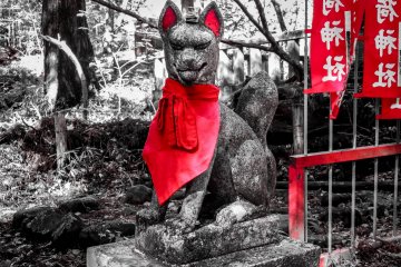  An Inari, (white fox) greets you outside Takino`o Inari Shrine, one of many picturesque structures northwest of Toshogu Shrine